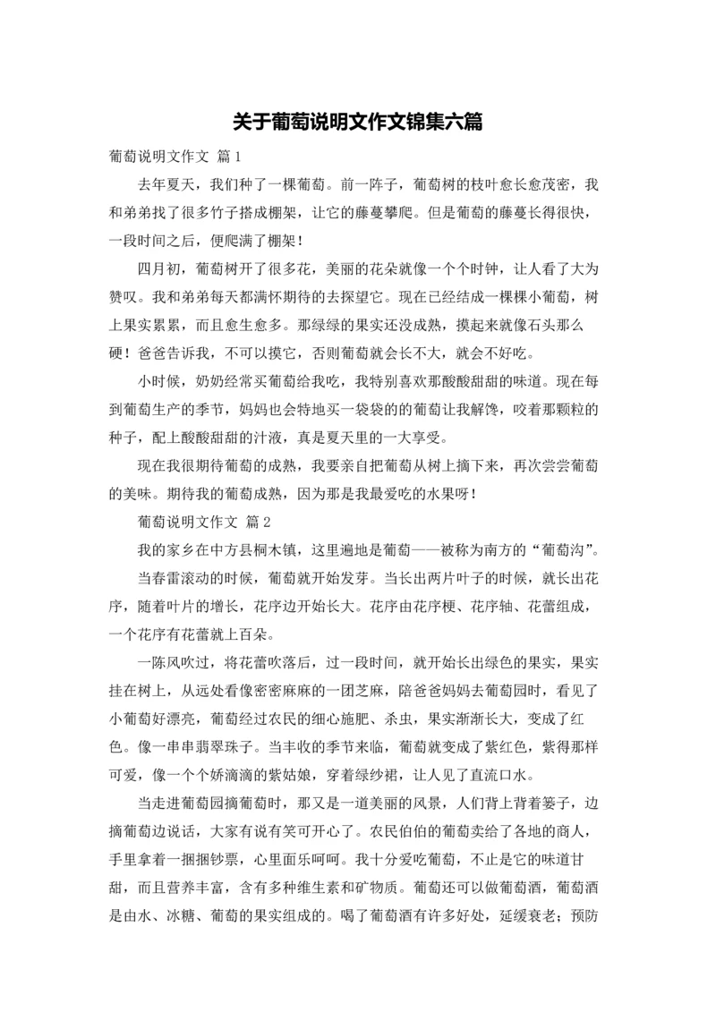 关于葡萄说明文作文锦集六篇.docx