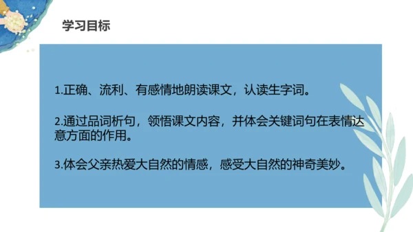 第23《父亲、树林和鸟》（课件）