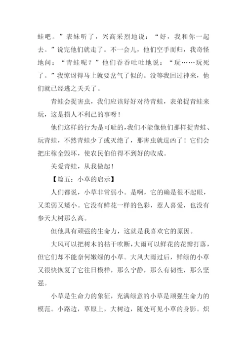 什么的启示作文250字.docx
