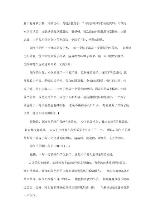 端午节的初二作文800字5篇