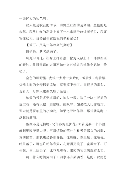又是一年秋作文.docx