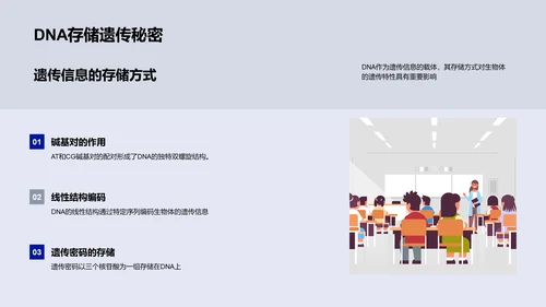 DNA与遗传信息传递PPT模板