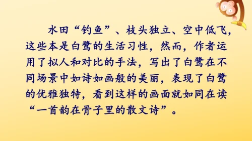 1 白鹭   课件