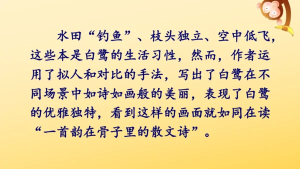1 白鹭   课件
