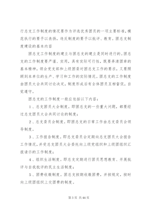 团支部制度建设情况.docx