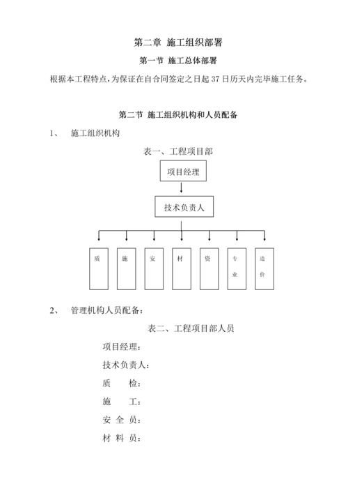 泛光照明综合施工组织专题方案.docx