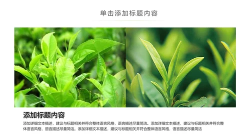 茶具茶叶绿茶白茶红茶黑茶茶文化茶厂PPT