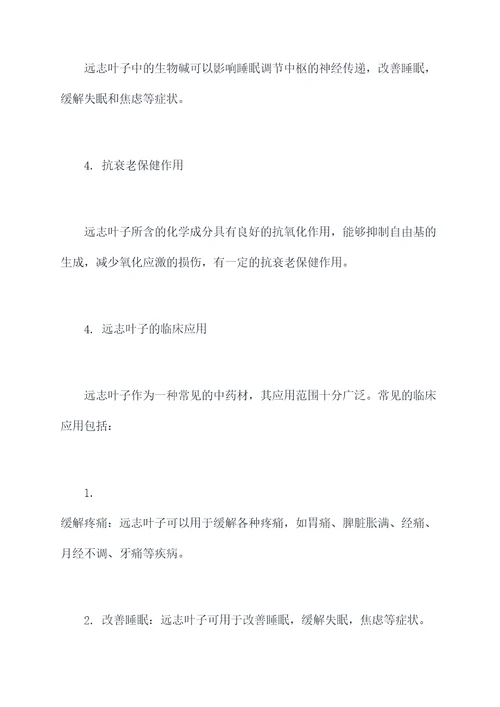 远志叶子功效与作用