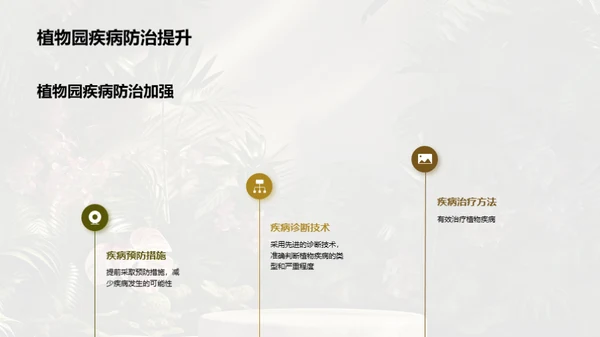 绿色奇迹：植物园月报