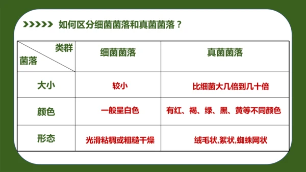 人教版生物七年级上册2.3.1《微生物的分布》（教学课件）(共37张PPT)+视频素材