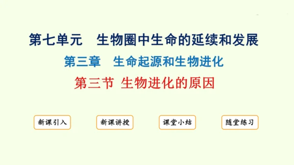 7.3.3生物进化的原因-八年级生物人教版下学期同步精品课件(共44张PPT)