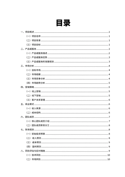 大学生互联网+比赛项目计划书