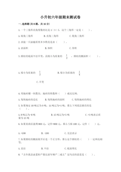 小升初六年级期末测试卷（综合卷）.docx