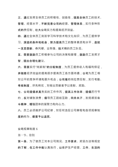 公司规章制度 (1)