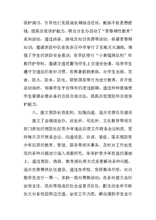 乡镇团委预防青少年违法犯罪工作总结