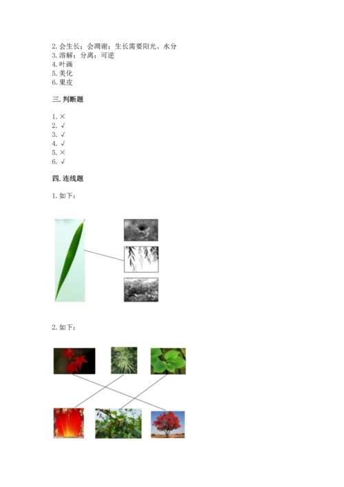 教科版科学一年级上册第一单元《植物》测试卷含答案【突破训练】.docx