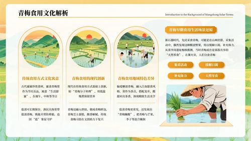 橙色古风二十四节气芒种节气PPT模板