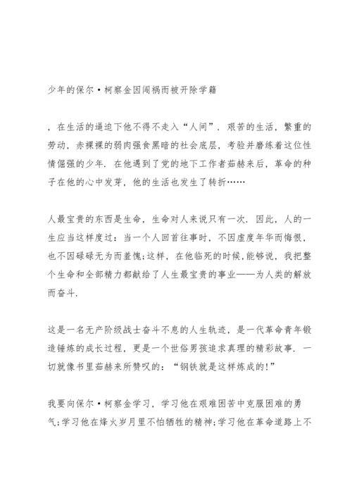 钢铁怎样炼成的暑假阅读心得10篇.docx