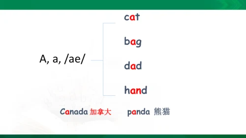 期中复习