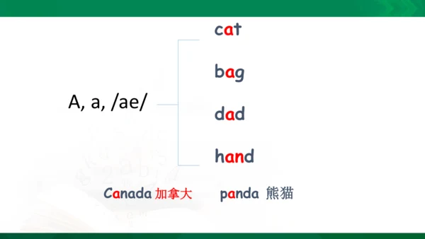 期中复习