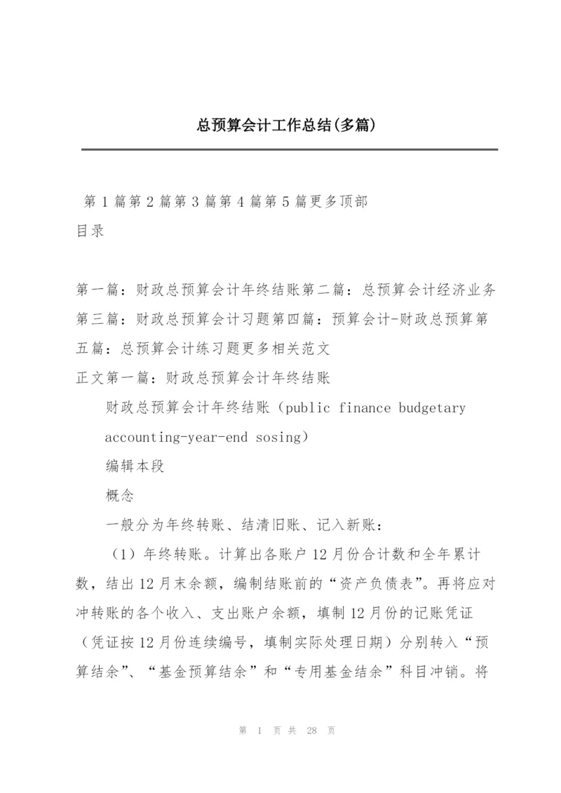 总预算会计工作总结(多篇).docx