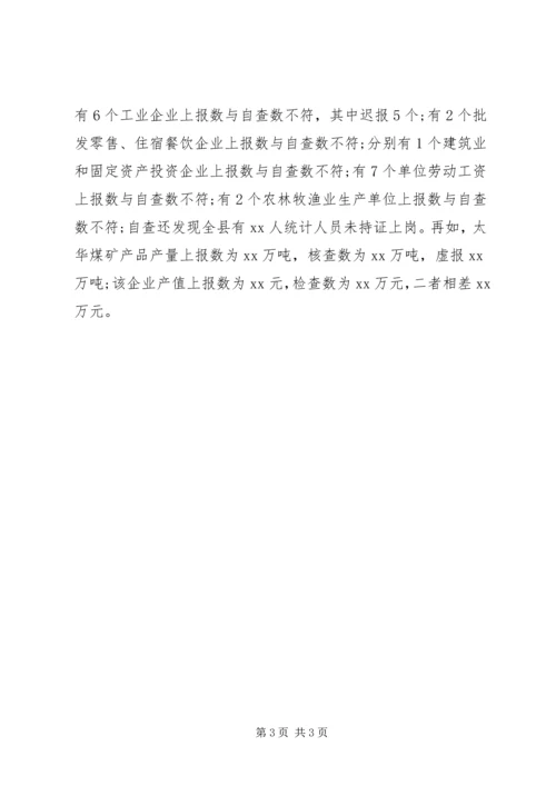 县统计执法检查自查报告 (3).docx