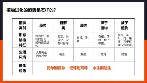 生命起源和生物进化企鹅通用PPT模板