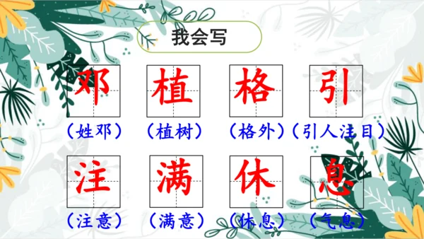 4.邓小平爷爷植树（第一课时）  课件