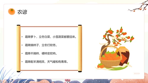 中国风传统二十四节气之霜降PPT课件模板