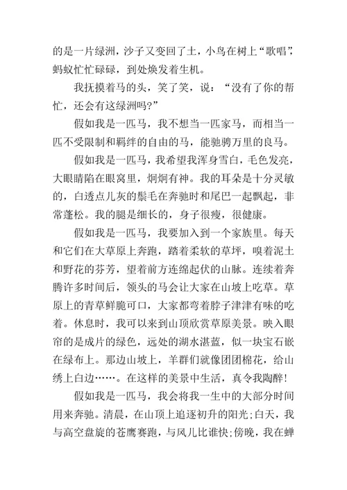 假如我有一匹马作文300字小学作文