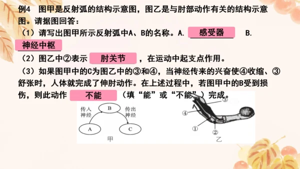 第四单元第五、六章复习课件(共33张PPT)人教版七年级下册