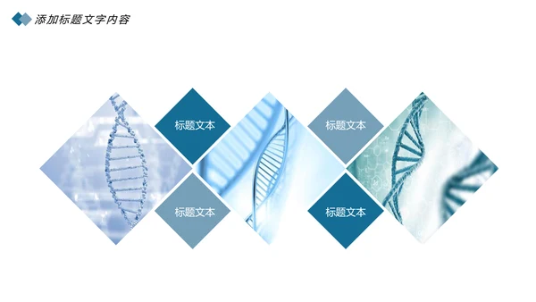 时尚医疗细胞基因研究医学研究报告总结计划PPT模板