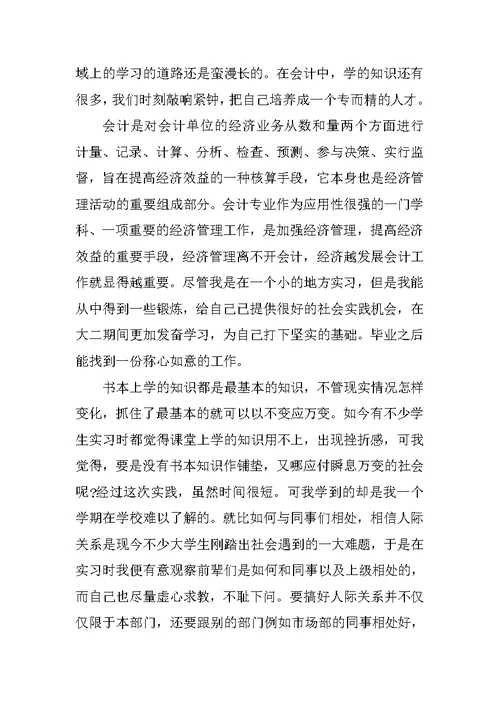 XX年会计社会实践报告XX字