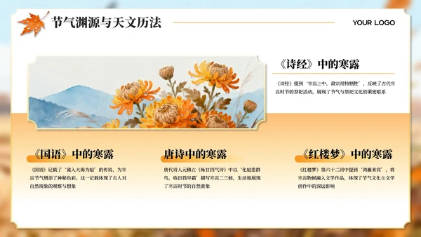 橙黄色寒露主题教育宣传PPT模板
