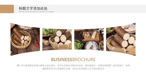养生山药绿色原生态农业山药种植画册PPT