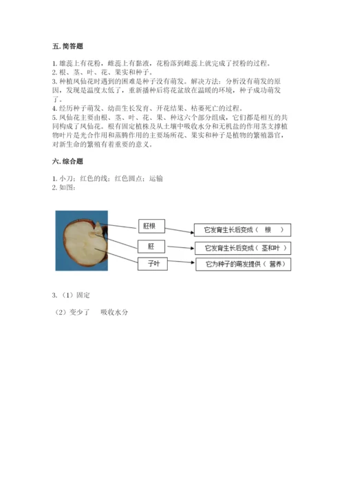 科学四年级下册第一单元植物的生长变化测试卷及答案（真题汇编）.docx