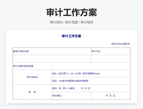 审计报告表