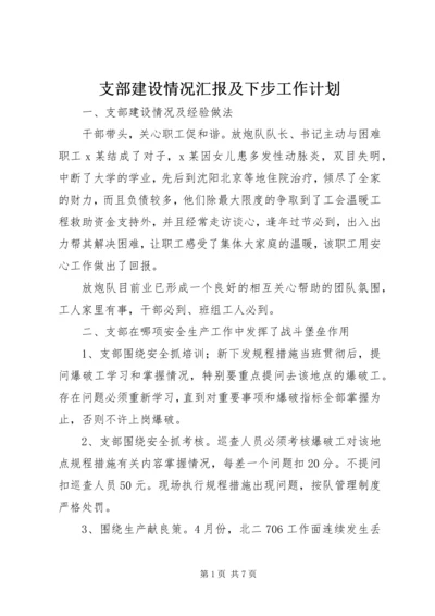支部建设情况汇报及下步工作计划.docx