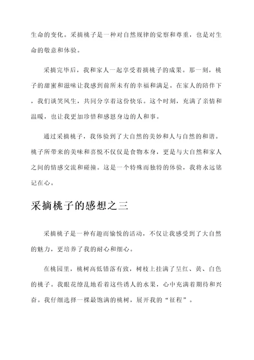 采摘桃子的感想