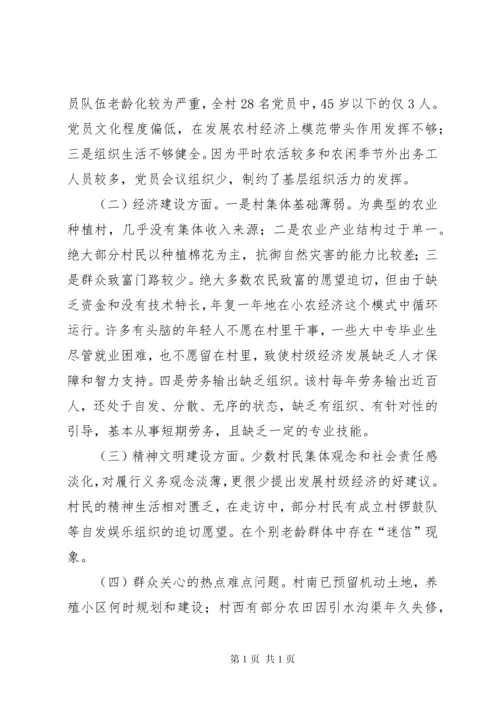 帮扶工作组驻村调研报告 (3).docx
