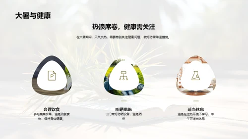 大暑生活指南