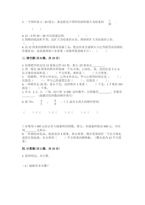 桂林市小升初数学测试卷及参考答案一套.docx
