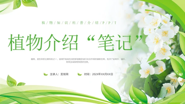 植物介绍简约绿色树叶花卉线条知识科普