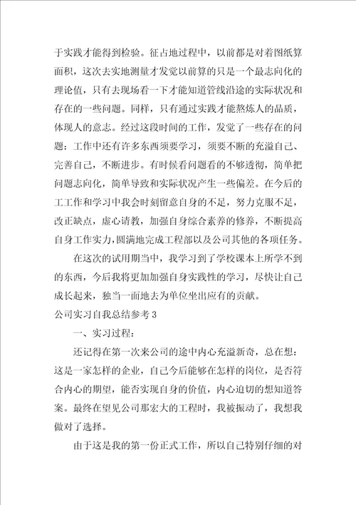 公司实习自我总结参考