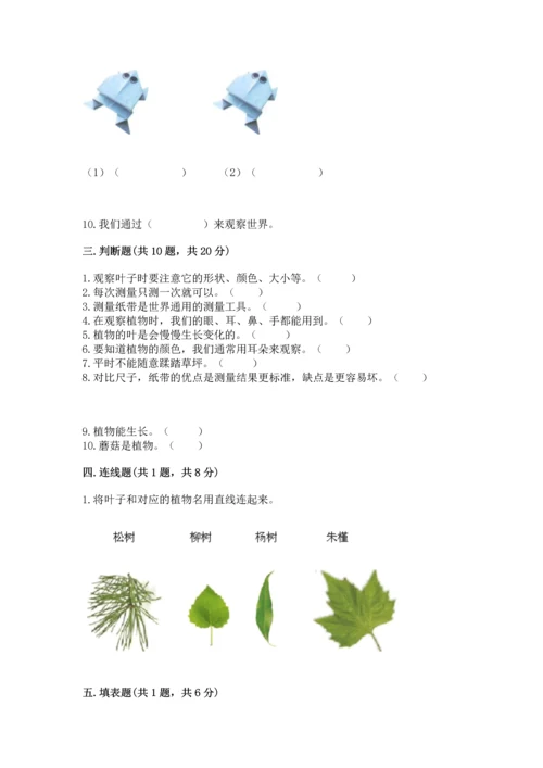 教科版一年级上册科学期末测试卷含答案【最新】.docx