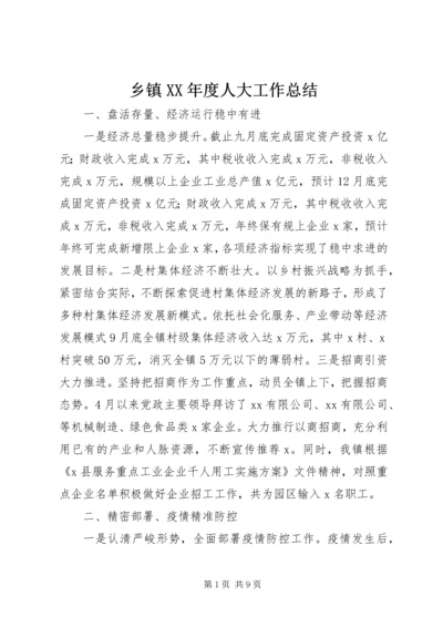 乡镇某年度人大工作总结.docx