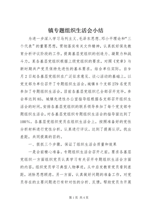 镇专题组织生活会小结.docx