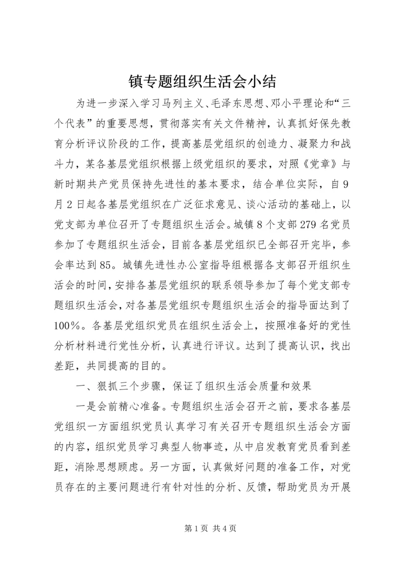 镇专题组织生活会小结.docx