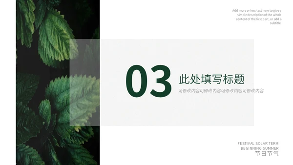 森系绿叶之立夏通用PPT模板