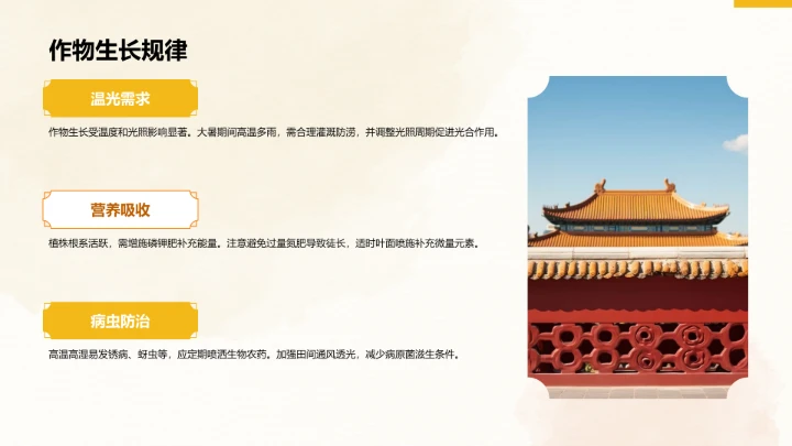 二十四节气大暑PPT模板